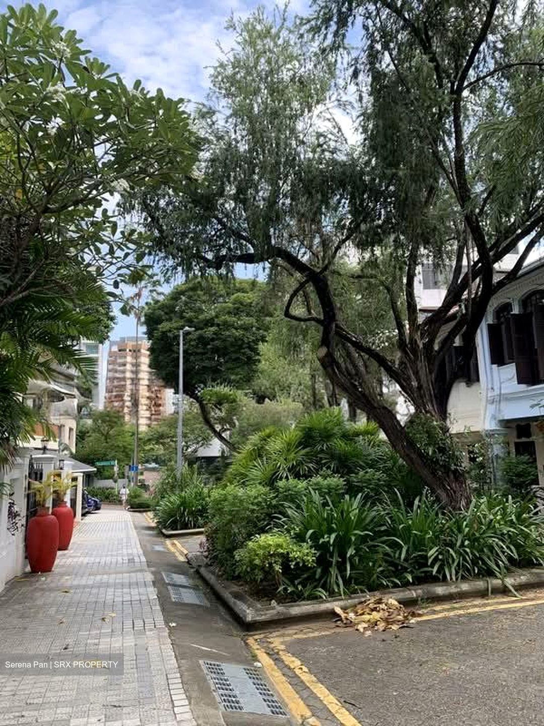 Emerald Hill Road (D9), Detached #568178891